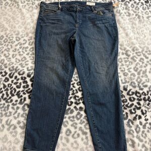 Vince Camuto 24w Straight Leg Jeans